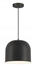  6202-66A - 1 LIGHT PENDANT