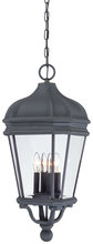 Minka-Lavery 8694-66 - 4 LIGHT CHAIN HUNG