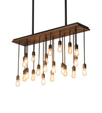  217430 - 48" Long Alva 22 Light Pendant