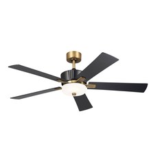  300395SBK - 56 Inch Icon Fan