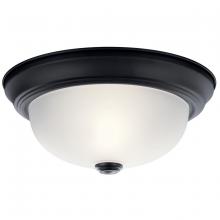  8111BK - Flush Mount 2Lt