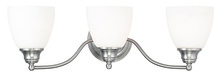  13673-91 - 3 Light Brushed Nickel Bath Light