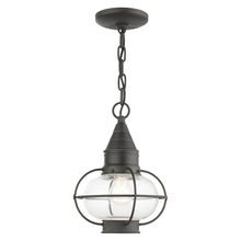  26910-61 - 1 Lt Charcoal Outdoor Pendant Lantern