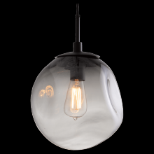  LAB0062-01-CS-S-C01-E2 - Aster Pendant-Incandescent