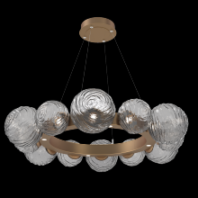  CHB0092-39-NB-S-CA1-L1 - Gaia Radial Ring Chandelier