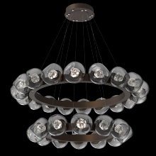  CHB0095-2T-FB-ZS-CA1-L3 - Luna Radial Ring Chandelier