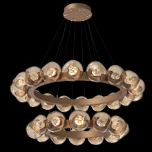  CHB0095-2T-NB-ZB-CA1-L3 - Luna Radial Ring Chandelier