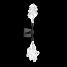 Hammerton IDB0059-02-BS-BC-L1 - Blossom Double Sconce