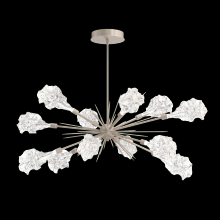  PLB0059-0A-FB-BC-001-L1 - Blossom Oval Starburst - 0A 30"