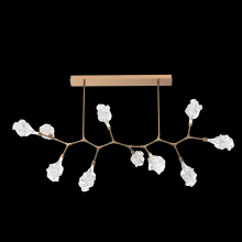  PLB0059-BC-NB-BC-001-L3 - Blossom 10pc Branch-Novel Brass-Blossom Clear Blown Glass