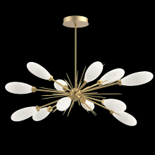  PLB0071-0A-GB-WL-001-L3 - Fiori Oval Starburst Chandelier 50"