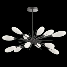  PLB0071-0A-GP-WL-001-L3 - Fiori Oval Starburst Chandelier 50"