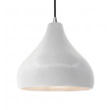  CER-6565-BIS-NCKL-BKCD - Large Droplet 1-Light Pendant