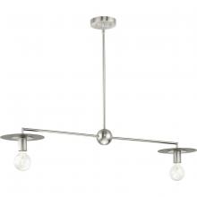  P400336-009 - Trimble Collection Two-Light Brushed Nickel Linear Chandelier