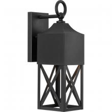  P560316-031 - Birkdale Collection One-Light Modern Farmhouse Textured Black Outdoor Wall Lantern