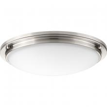  P350071-009-30 - Apogee Collection 21" LED Flush Mount