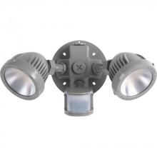  P6341-82-30K - Two-Light Security/Flood Light With Motion Sensor