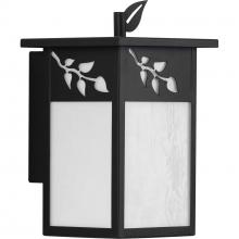  P560159-020 - P560159-020 1-100W MED WALL LANTERN