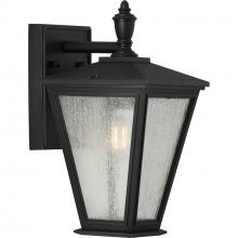  P560166-031 - Cardiff Collection One-Light Small Wall Lantern with DURASHIELD