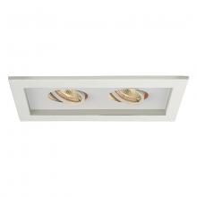 WAC US MT-216-WT/WT - Low Voltage Multiple Two Light Trim