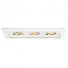 WAC Online MT-316-WT/WT - Low Voltage Multiple Two Light Trim