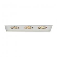 WAC Online MT-316TL-WT - Low Voltage Multiple Invisible Two Light Trim