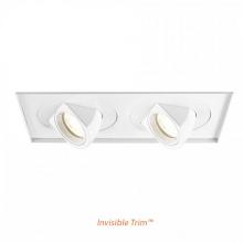  MT-5LD225TL-F27-WT - Tesla LED Multiple Two Light Invisible Trim with Light Engine