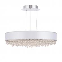  S6324-401RS2 - Eclyptix LED 24in 3000K/3500K/4000K 120V-277V Pendant in Polished Stainless Steel with Clear Radia