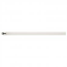  S19947 - 11 Watt; 2 Foot; T5 LED; Miniature Bi Pin Base; 4000K; Type A; 1400 Lumens; 120-277 Volt