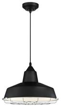  6104900 - LED Pendant Black Finish Chrome Cage