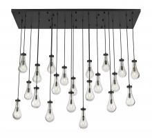  172BK-451-1P-BK-G451-5CL-20 - Owego - 21 Light - 71 inch - Matte Black - Multi Pendant