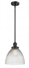  201S-BK-G222 - Seneca Falls - 1 Light - 10 inch - Matte Black - Stem Hung - Mini Pendant