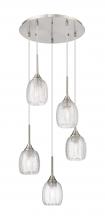  323-5P-SN-G323-5CL - Berkshire - 5 Light - 18 inch - Brushed Satin Nickel - Cord Hung - Multi Pendant