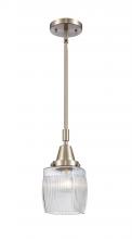  447-1S-SN-G302 - Colton - 1 Light - 6 inch - Brushed Satin Nickel - Mini Pendant