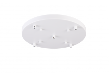  CP0105WH - Multi Ceiling Canopy (Line Voltage)