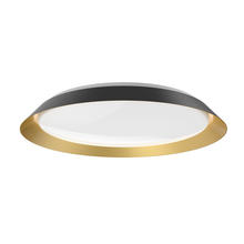  FM43423-BK/GD - Jasper 23-in Black/Gold LED Flush Mount