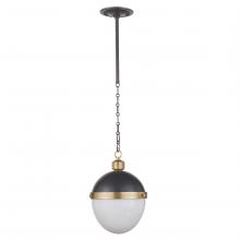  16-1118BBNB - Regina Andrew Otis Pendant Medium (Blackened and