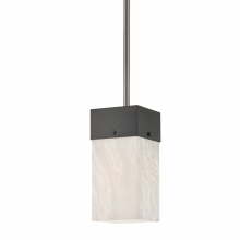  3806-BLNK - 1 LIGHT PENDANT