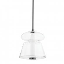  5313-BLNK - 1 LIGHT PENDANT