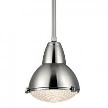  8113-SN - 1 LIGHT PENDANT