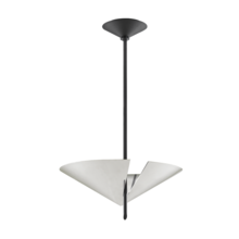  9711-PN/BK - 2 LIGHT PENDANT