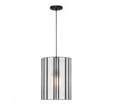  V6-L7-4026-1-89 - Bonn 1-Light Pendant in Matte Black