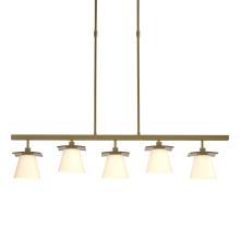  136605-SKT-LONG-86-GG0242 - Wren 5 Light Pendant