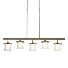  136605-SKT-SHRT-84-ZU0284 - Wren 5 Light Pendant