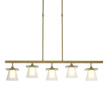  136605-SKT-SHRT-86-ZU0284 - Wren 5 Light Pendant