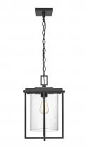  42625-PBK - Outdoor Hanging Lantern
