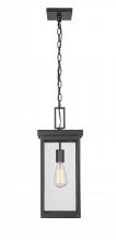  42607-PBK - Outdoor Hanging Lantern