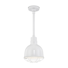  RDBS10-WH - Stem Hung Deep Bowl Shade