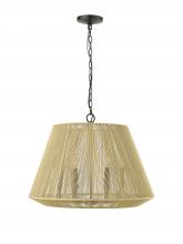  20606-MB - Pendant Light