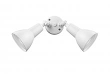  17002-MW - Security Flood Lights